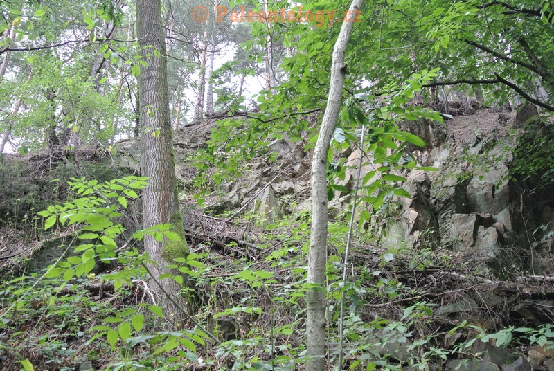 SucheLazce-Přerovec-08-2013-0003