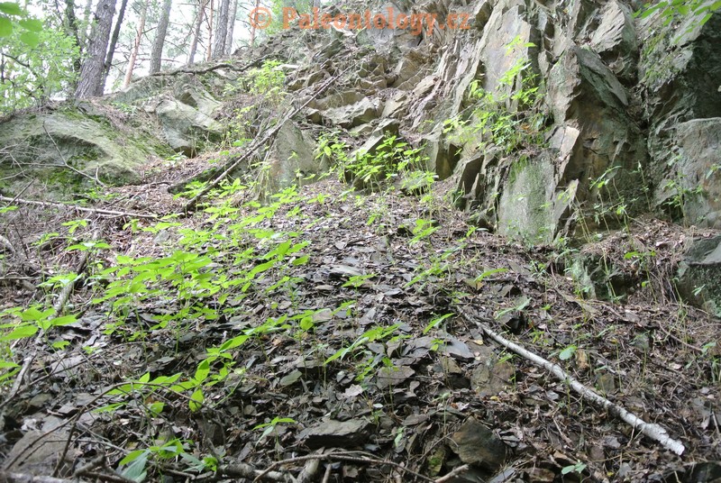 SucheLazce-Přerovec-08-2013-0008