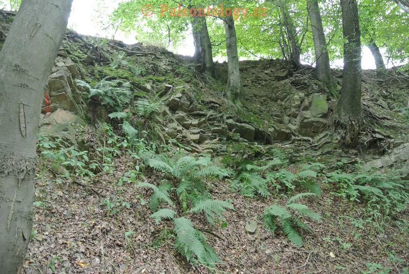 Budisovice-Zatoky-08-2013-0014