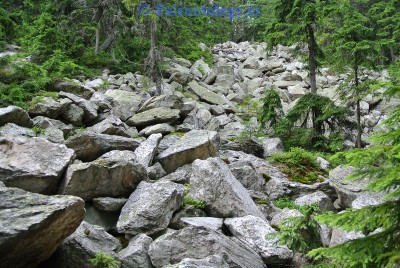 karlovastudanka-sut-07-2013-0082.jpg