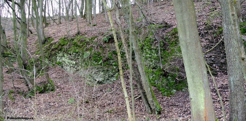 dsc_2642.jpg