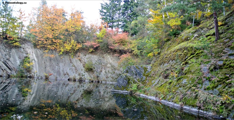 dsc_0401.jpg
