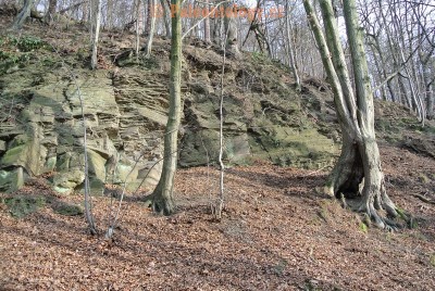 bobrovniky-kravidul-12-2013-0026.jpg