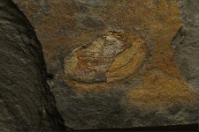 dsc_4481.jpg