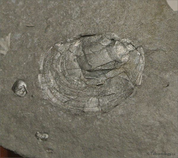 dsc_5396.jpg