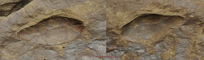 dsc_6788a.jpg