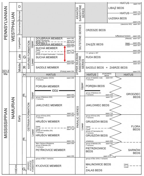 stratigr-zaklad---susske-vrstvy.jpg