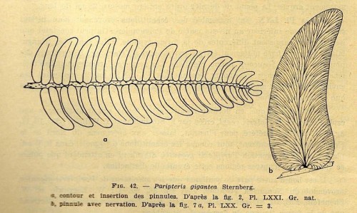 img25510.jpg