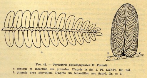 img25610.jpg