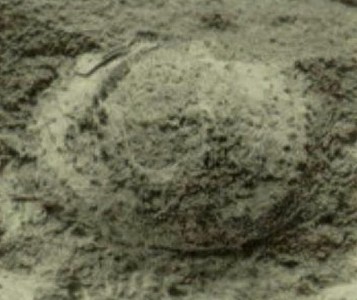 untitled-1.jpg