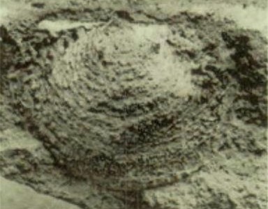 untitled-12.jpg