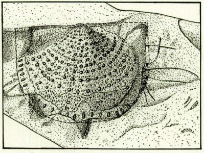 untitled-2.jpg