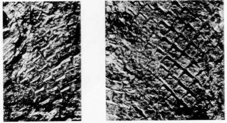 untitled-5.jpg