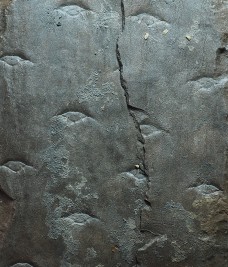 15c.jpg