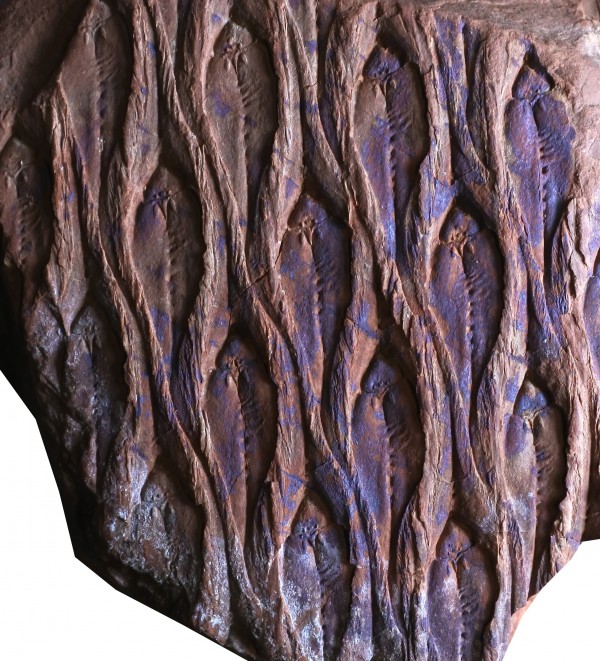 rydultowy-12.jpg