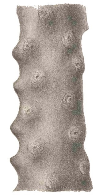 untitled-1.jpg