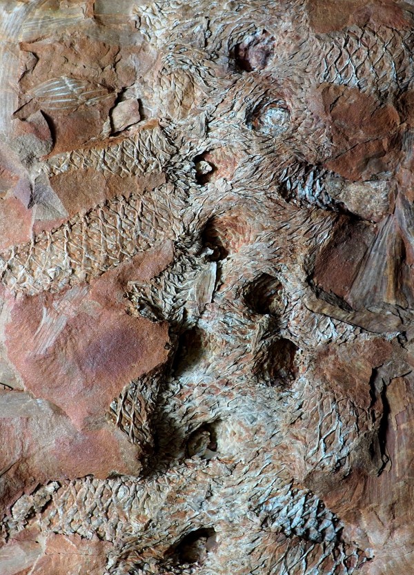 rydultowy-13b.jpg