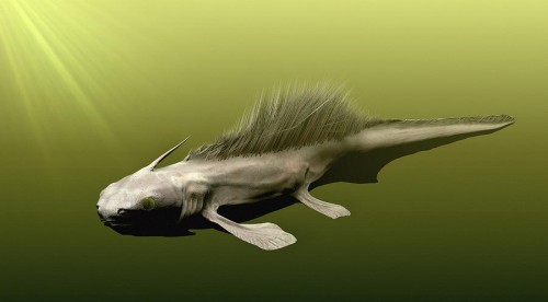 listracanthus-shark-christian-darkin.jpg